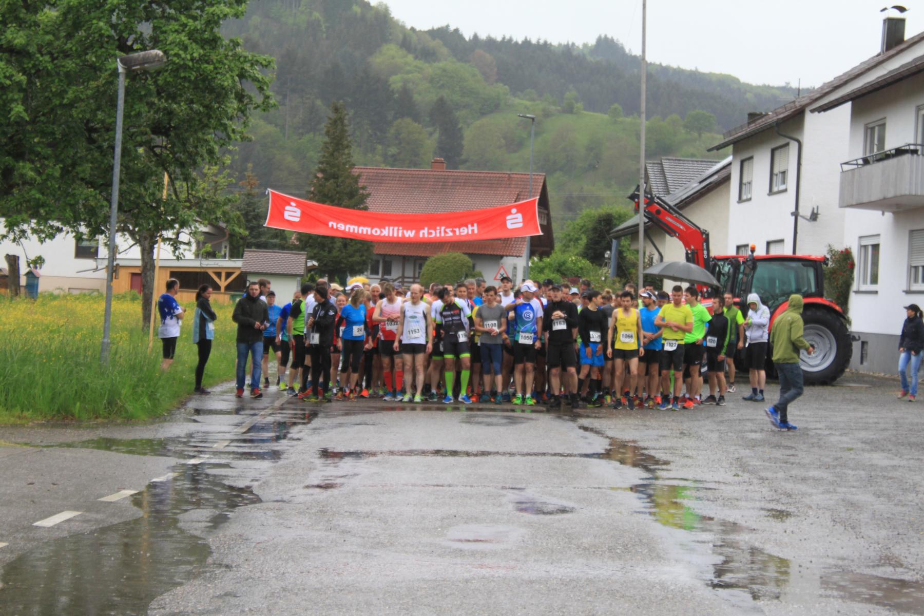 Straßenlauf (5 und 10km)